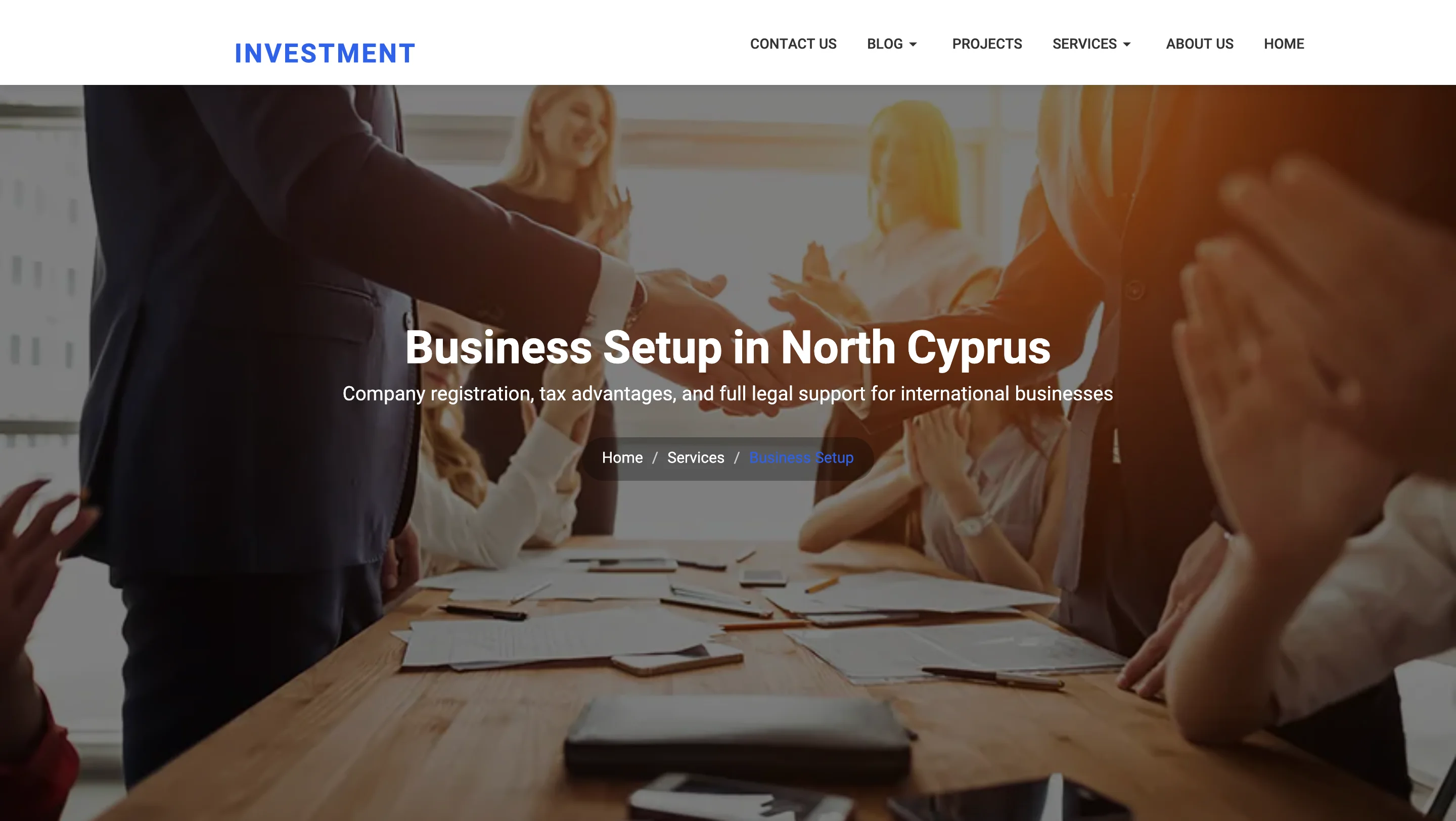Business Setup Services
